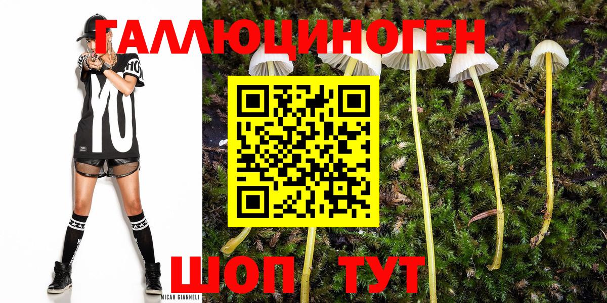 как найти закладки  Галлюциногенные грибы GOLDEN TEACHER  Нарткала  Вход с VPN  Псилоцибиновые грибы прущие грибы 